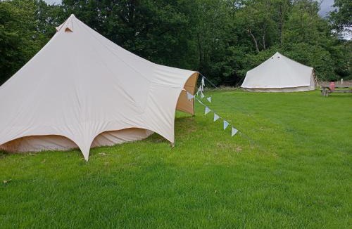 Pentrefelin Other | Oak Tree Farm