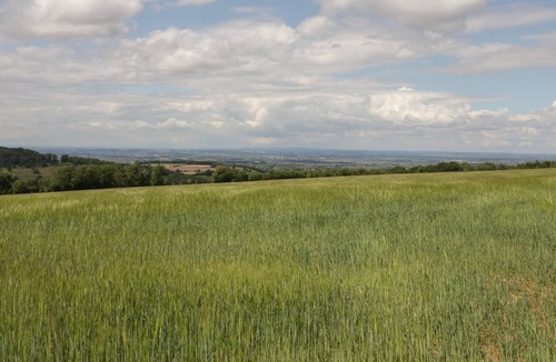 Snowshill Village Cottage | OAT HILL COTTAGE, pet friendly in Broadway