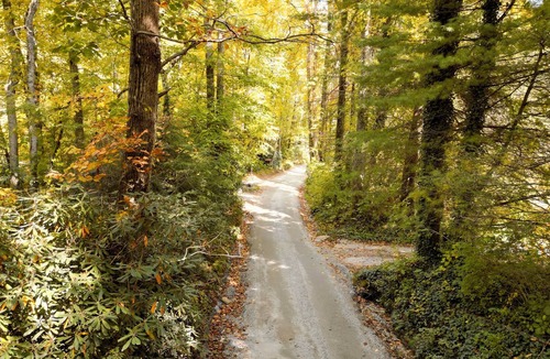 Gerton House | Optional Longterm stays & 25min to Asheville & 10min to groceries &hiking Trails
