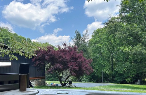Gerton House | Optional Longterm stays & 25min to Asheville & 10min to groceries &hiking Trails