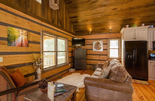Waynesville Cabin | Paradise at the Rivers Edge! A Private Waterfront Log Cabin,snow ski/fish nearby