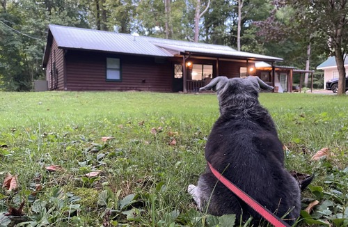 Andrews Cabin | Peaceful Firefly Creek Cabin in Nantahala- pet-friendly