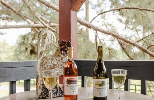 Tryon Cabin | Peaceful, private & serene cabin near wineries, TIEC & outdoor activities