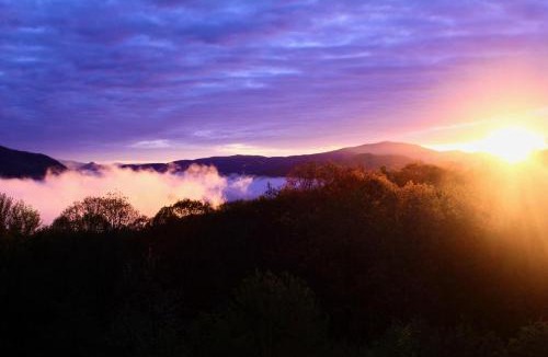 Altamont House | Peaceful View