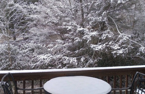 Banner Elk Condo | Perfect Mountain Hideaway, conviently nestled in the center of it all.