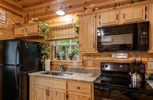 Murphy Cabin | Pets Welcomed at this Colorful Sunflower Cabin!
