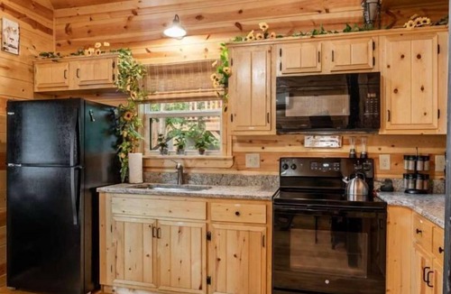 Murphy Cabin | Pets Welcomed at this Colorful Sunflower Cabin!