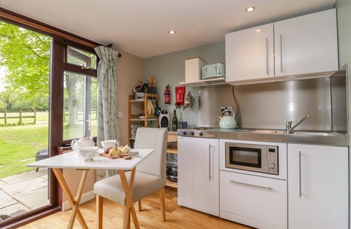Wimborne Cabin | Pheasant Lodge: Cozy Retreat