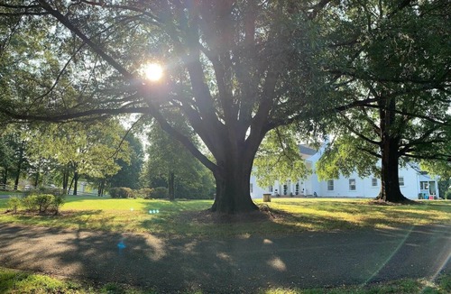 Mount Airy House | Picture room at The Vintage Oak Estate and venue