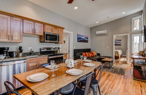 Pisgah Forest Cabin | PILOT COVE 1 BR Cabin - Modern Luxury w/Nature!