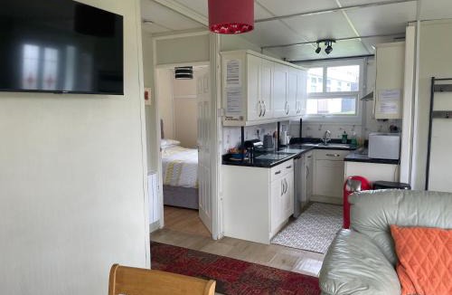 Haverfordwest Ski Chalet | Pine Tree