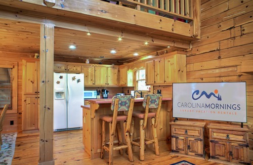 Arden Cabin | Pisgah Pines | Cozy Log Cabin w/Hot Tub & Fire Pit Near Asheville Airport
