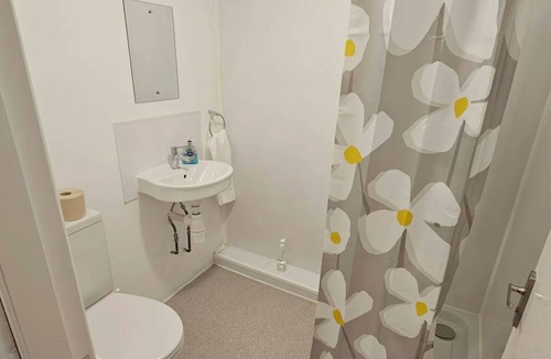 Mynydd Isa Apartment | Plas Bellin Studios