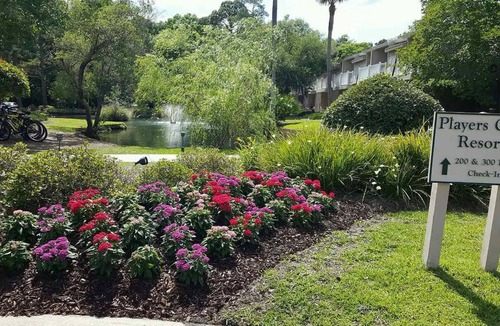 Hilton Head House | Players Club of Hilton Head Island - Studio