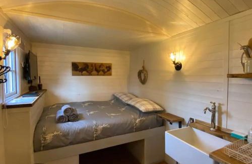 Paignton Apartment | Plum Hut
