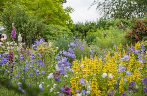 Dargate House | Plum Pudding Stables by Bloom Stays