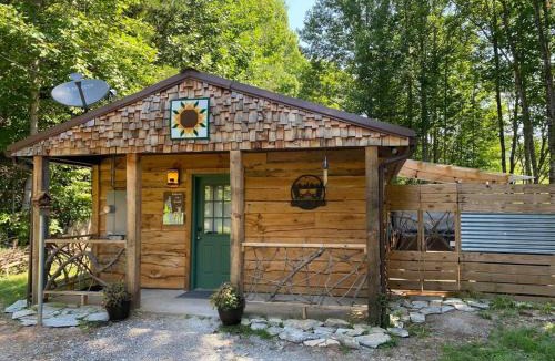Bryson City House | Poppa Bear Cabin at Gr Smoky Mtn Park! 3mi to town