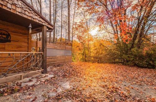 Bryson City House | Poppa Bear Cabin at Gr Smoky Mtn Park! 3mi to town