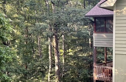 Woodfin House | Private and only 10 minutes to downtown Asheville!