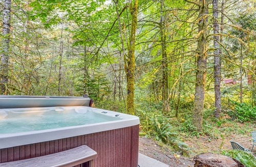 Lake Lure Cabin | Private LogHome/LakeLure/HOTTUB Game room access to open beach/lakes/hiking/pet