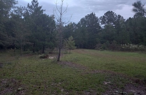 Cordova RV Rental | Private Nature Oriented Campground