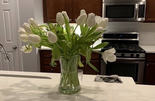 Northeast Raleigh Resort | Private room ∙ 1 guest