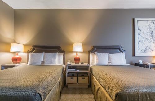 Greensboro Hotel | Proximity Hotel