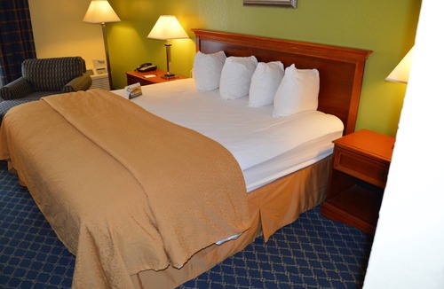 Savannah Hotel | Quality Inn Savannah Midtown