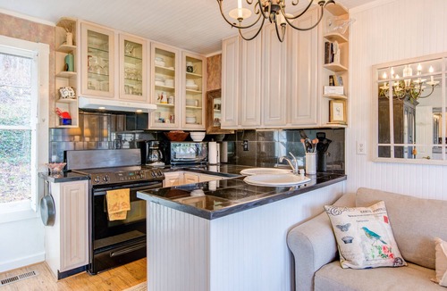 Otto Cottage | Quiet Secluded,Mountain view Cabin w/4 Private Falls & Trails!