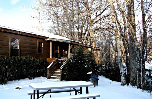 Altamont Cabin | Real Logs-1BR, queen bed & futon-sleeps 4. Riverside w/Hot Tub