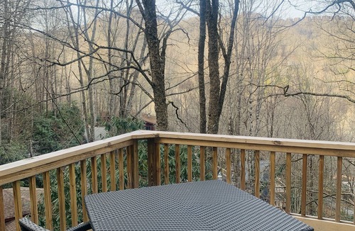 Mill Ridge Ski Chalet | Red Tree House Pet Friendly/Ski/SnowBoard/Wineries/HawksNest Tubing!