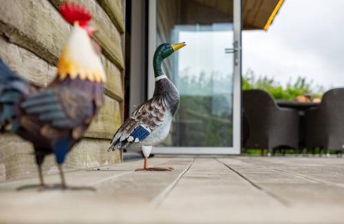 Chillington House | Relaxed Devon Stay Close to fabulous Beaches