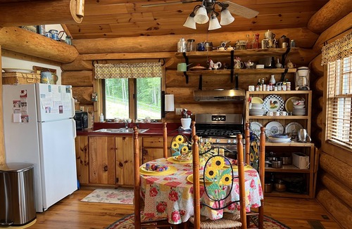 Leicester Cabin | ROMANTIC LOG CABIN OPEN FOR BUSINESS MT.VIEWS, 2/1,10 MIN AVL, FP,WiFi, FIREPIT