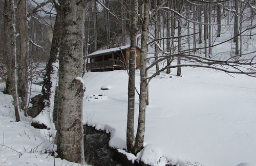 Hot Springs Cabin | Romantic Log Cabin On Creek And 100 Acres, Hot Tub, Wifi, Gas Grill, Hiking
