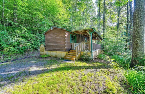 Rosman Apartment | Rosman Vacation Rental w/Charcoal Grill!