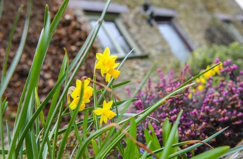 Lanreath House | Rowan Cottage, Looe