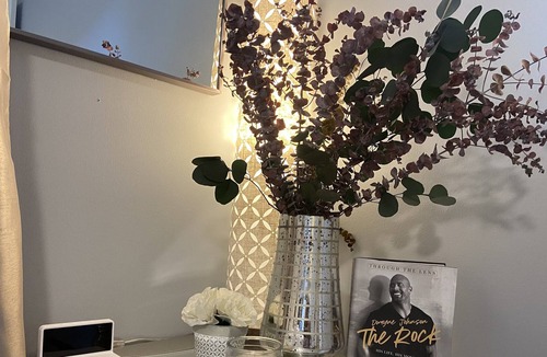 Dilworth Condo | ROYAL CONDO