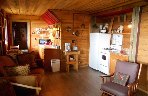 Skyland Apartment | Rustic Cabin, Appalachian Elegance, Rural But Close