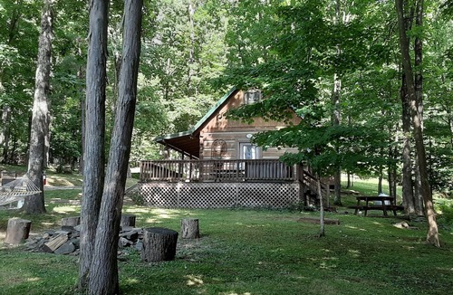 Warrensville Cabin | Rustic, Secluded Cabin-Walk to River-Hot tub-Close to Downtown West Jefferson