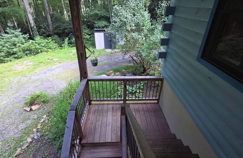 Asheville Cabin | Secluded cabin on 2 wooded acres in charming Clyde