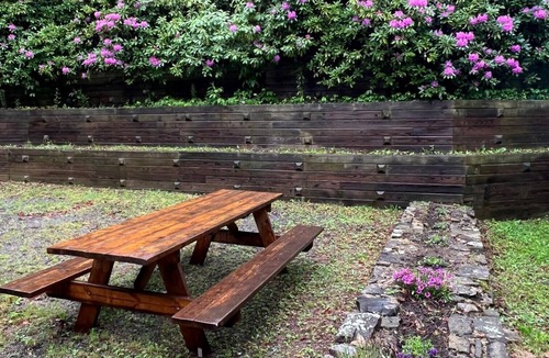 Maggie Valley Cabin | Secluded mountain cabin @ ~4800 ft elevation near ski area