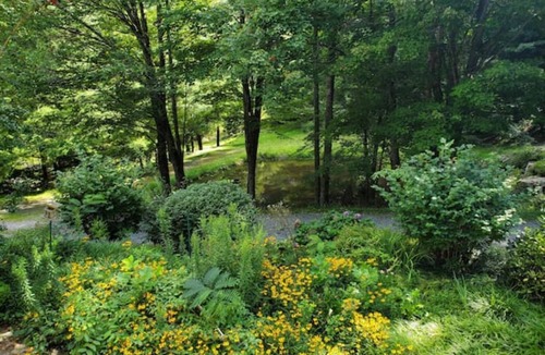 Waynesville Apartment | Secluded, peaceful property with waterfall feature and mountain views.