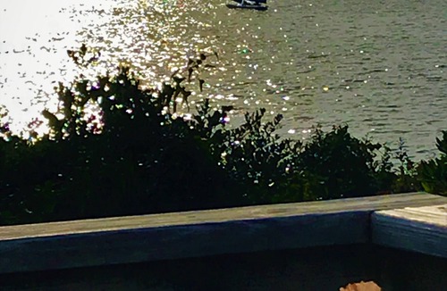 Avon House | Secluded~ Waterfront~Private Beach~Quiet~King Suites~Dogs lovenNow Booking Fall!