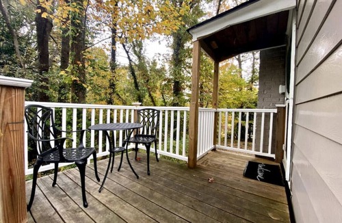 High Point Apartment | Serenity Studio - Adorable and Spacious Studio with Full Kitchen near HPU