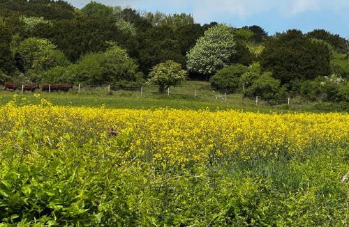 Chichester House | Shepherds Barn