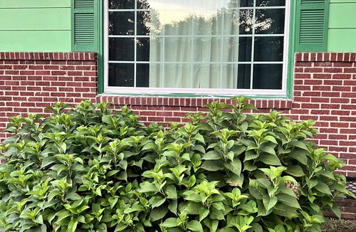 Cordova House | Simple Country Living