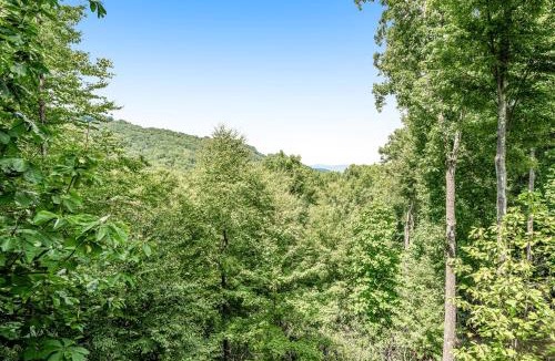 Beech Mountain House | Sky Reach at Beech