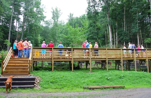 Clyde Cabin | Sleep in a caboose on a 65 acre buffalo ranch!