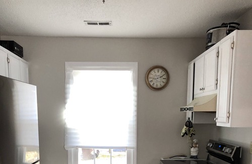 Tarboro House | Small little bungalow house, big backyard with new appliance ceiling fans