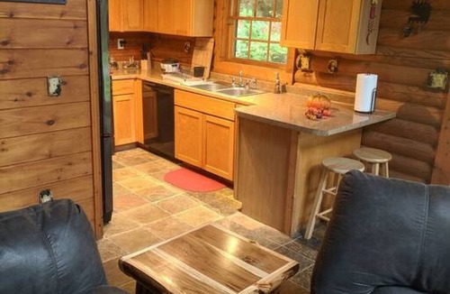 Waynesville Cabin | Smokies Overlook Lodge Game Room Spa Sauna new Fiber